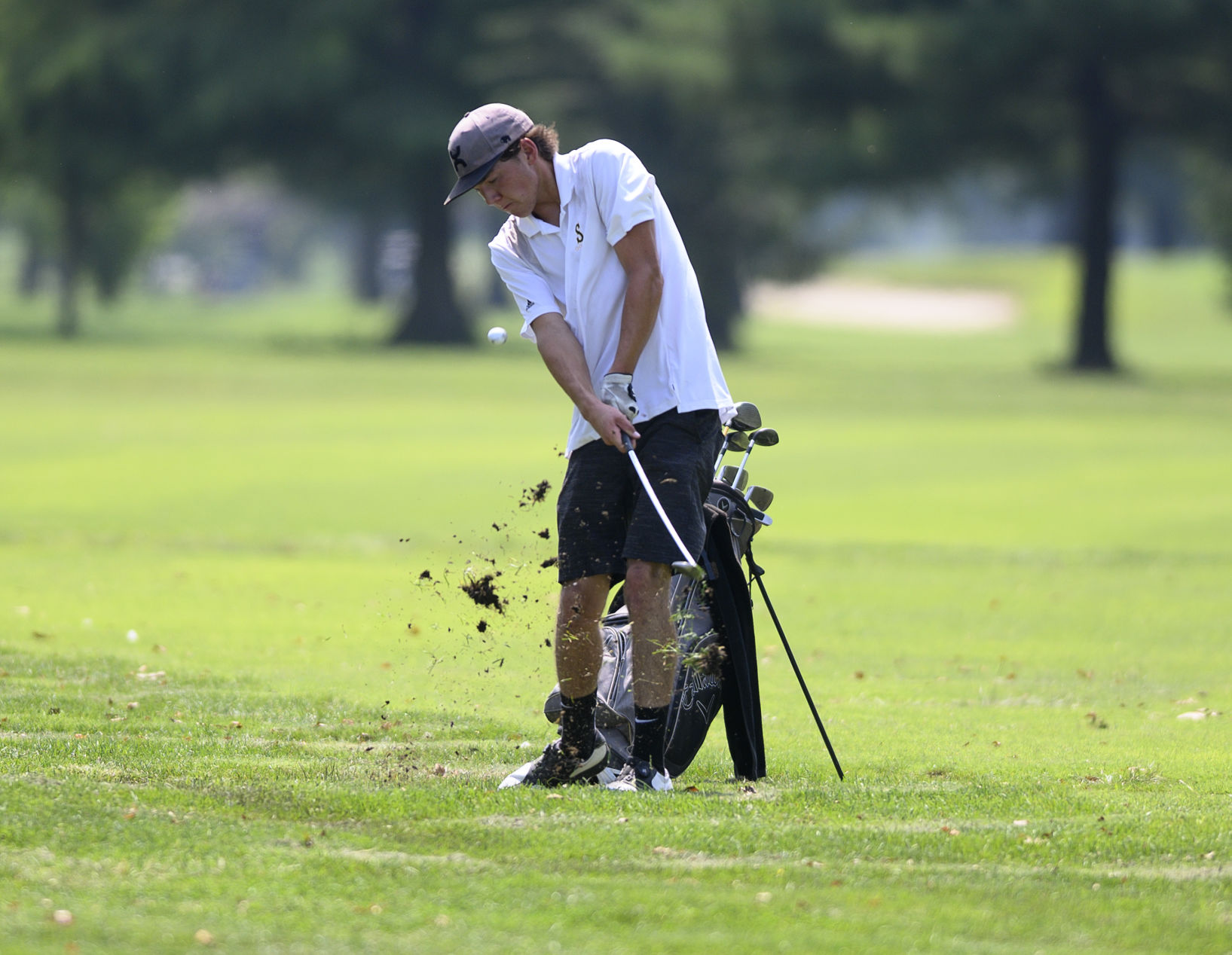 Hickory Stick Classic